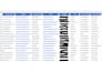 provide accurate data entry, excel formatting, web research